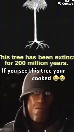 Lepiododenendron tree warning☠️☠️| #lepidodendron #tree #meme #edit