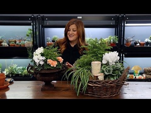Putting Together Two Easy Winter Centerpieces! 💚🌿🌲 // Garden Answer