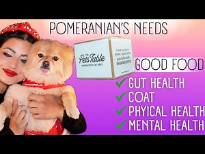 🐶 The Pets Table Dog Food: Healthy or Overhyped?