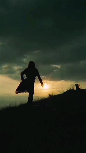 1994 Quidditch World Cup Highlights