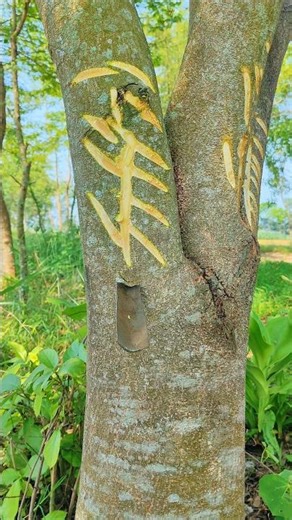 trees satisfying and crafting recipe for juice hunting #shorts #short #viral #trees #trending #juice