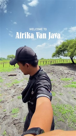 Hasan | Travel Content Creator ✈️ on Instagram: "Welcome to Afrika Van Java Sebuah tempat alam liar berkumpulnya berbagai hewan liar Taman Nasional Baluran ini jadi spot yang wajib kamu kunjungi sebelum ke Banyuwangi. Destinasi ini salah satu banyak yang dikunjungi di tahun 2025. Kalau mau bagusnya ke sini menjelang sore hari, biar dapat spot sunset yang kereeeeeen banget. Ada yang udah pernah ke sini? Absen di kolom komentar 👇🏼 📍Taman Nasional Baluran, Situbondo 📌 Save dulu aja buat referen