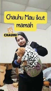 Chauhu Mau Ikut Jalan Jalan