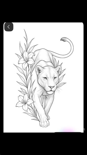 Newman has plenty of designs up for grabs ⬇️ | Studio 6