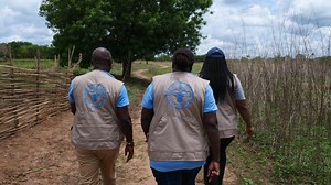 Energy-Smart Agrifood Systems: Fuelling resilience with clean energy