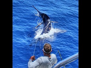 Australia's First Grander Blue Marlin 1089lb. Exmouth, Western Australia