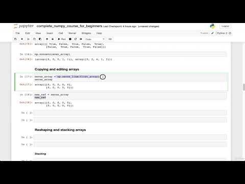 Copy & Edit NumPy Arrays Like a Pro - Complete Tutorial | Python Data Science 2026