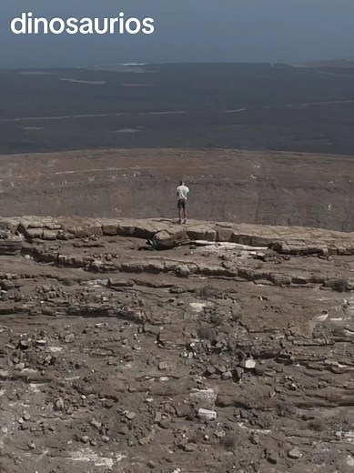Cráter de Chicxulub: La Historia del Impacto