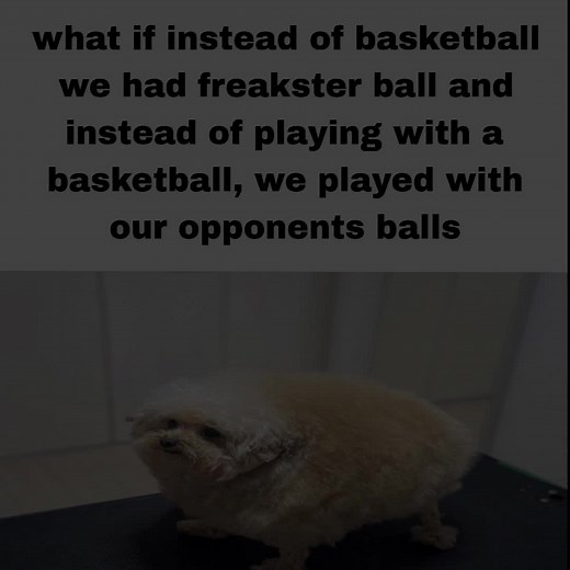 what if??#basketball #whatif #mulch #fyp
