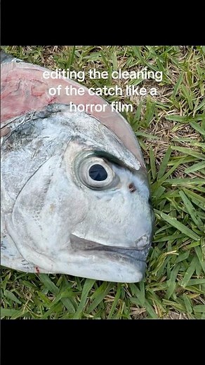 RARE African Pompano caught offshore!!! #fishing