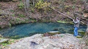 Althea Spring In Ozark County Missouri