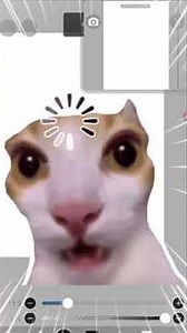 tutorial jendela referensi