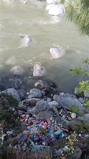 The majority of people in my village (in Mandi District, HP) and neighbouring villages throw trash into rivers, jungles, and gorges. You can blame tourists in the tourist cities, but Himachal lacks a waste management system( like 90% India), it's just that trash in HP creates more noise due to obvious reasons.