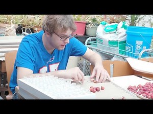 Everything You Need To Know About CCS