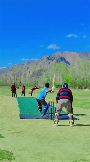 bowled out #cricket #viralvideo #cricketlover #crickettournament #trending #shortvideo #reels