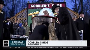 Watch: Punxsutawney Phil delivers his Groundhog Day 2024 forecast