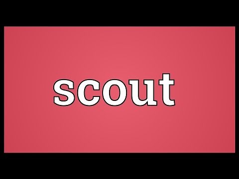 Scout Meaning