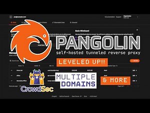 Pangolin Just Leveled Up: CrowdSec & Multi-Domain Support
