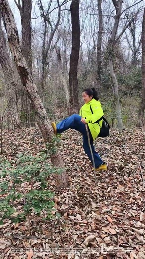 kick down the withered tree