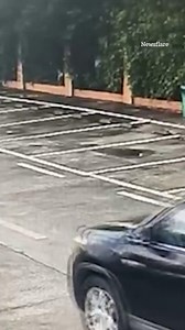 Out-of-control car crashes into swimming pool | The Sun