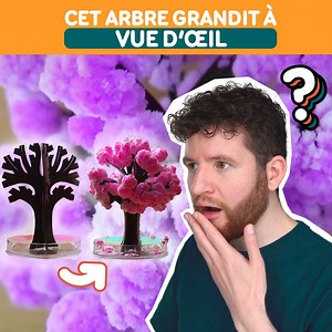 1.4M views · 9.6K reactions | Un arbre qui se transforme en une nuit  | Alexandre Calvez | Facebook