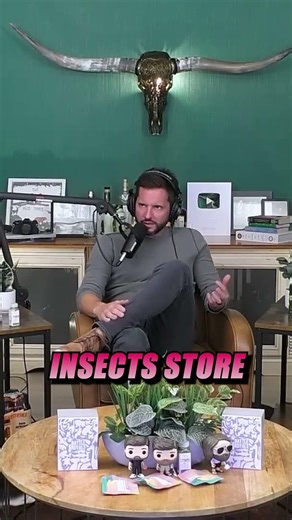 Are crustaceans and insects just same same, but different? 🦐🪲 #fyp #insect #shrimp