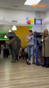 96K views · 1.9K reactions | En su cabeza era una gran idea, pero haber contratado a un "dinosaurio" para celebrar el cumple de su hijo solo generó terror en los invitados  infobae.com | Infobae | Facebook