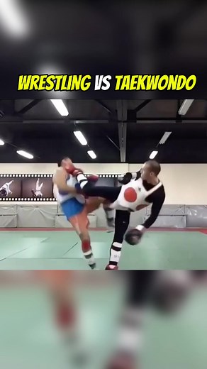 Wrestling vs Taekwondo: Ultimate Combat Comparison