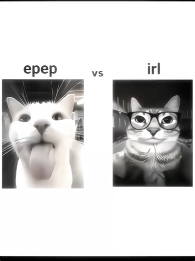 Enhance Your Videos with Adele's Light Motion Presets