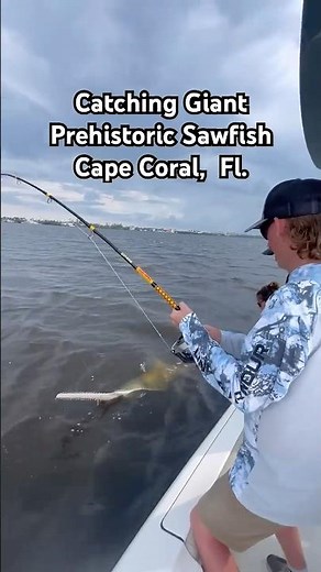 Catching Giant Sawfish in Florida! - #sawfish #ocean #saltwaterfishing #fishing #boat #florida