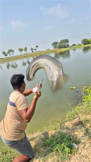 2.6M views · 12K reactions | Amazing big fishing with bamboo stick & eggs #fish #fishing #video #reels | Fisherman Animal Lover-Original | Facebook