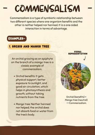 Commensalism: Explanation with Examples