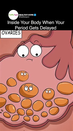 Healthy Hype | Ever wondered what’s actually happening inside when your cycle is late? 🤔 In this clip, the egg refuses to leave the ovary because of... | Instagram