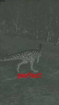 Dilo vs Sub rex The isle legacy #theisle #dinosaurs