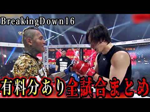 [Paid content included] Breaking Down 16 All Match Video Summary [Mikuri Asakura/Yuji Mizoguchi/C...