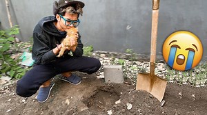 1.2M views · 133K reactions | HARI TERAKHIR KUCING SUPER LUCU SEBELUM MATI, SEDIH SAMPAI GATEGA NGUBURNYA :'(!!! | Frost Diamond | Facebook