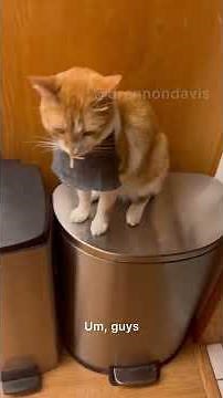 The Summons Of Blappy