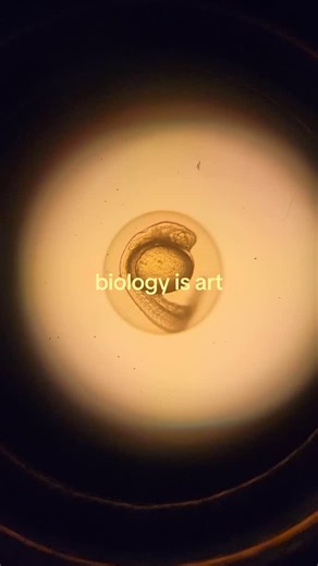The Open Discovery Institute on Instagram: "biology is art"