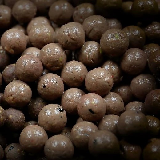 Carp Fishing - How To Give Your Boilies A Washed-Out Look