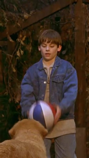 "you miss 100% of the shots you don't take" — air bud #AirBud | air bud