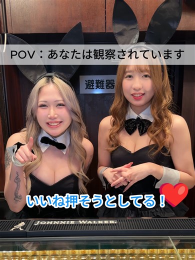 バニーガール カラオケで楽しい時間を過ごそう