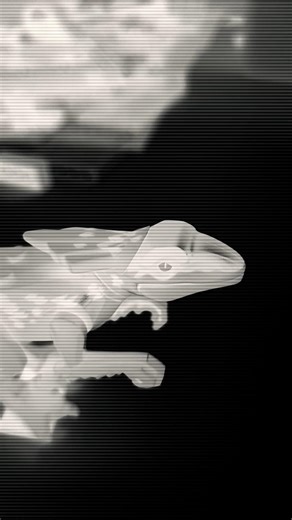 #trending #viral #popular #lego #dinosaur #youtube #youtubeshorts #memes #tutorial #humor