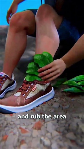 How remove pain relief from leaf #shorts#viralshorts #reels