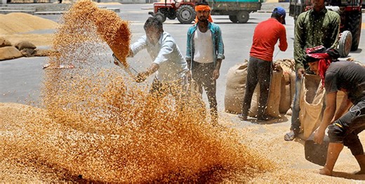 The Essential Commodities Act, 1955 (ECA)