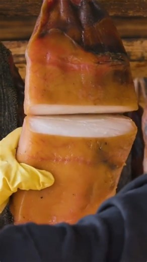 El TIBURÓN más TÓXICO del MUNDO 🦈🌎#animals #animales #agriculture