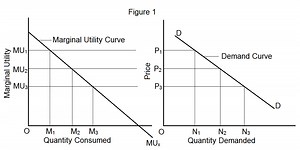 Why Demand Curve Slopes Downward?
