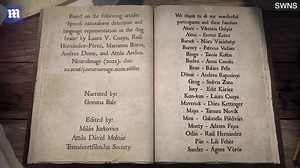 Dogs are 'bilingual' and can distinguish between languages: new research