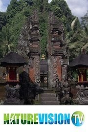 The Wonders of Bali
