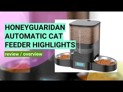 Review of the HoneyGuaridan 3.5L Automatic Cat Feeder for Two Cats