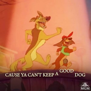 41K views · 19 reactions | “Ya can’t keep a good dog down!” Sing...